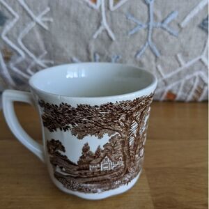 Vintage Romantic English cup MEAKIN cup